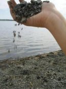 Дашка .... фотография #11 (источник - https://vk.com/id1445603)