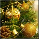 Фотография Нокера Томми