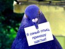 Сергей Галич фотография #11 (источник - https://vk.com/id35142883)