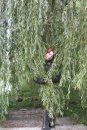 Юрій Деркач фотография #41 (источник - https://vk.com/id8617660)