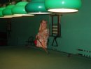 Фотография Парчук Елизаветы