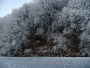 Тарас Тріщ фотография #9 (источник - https://vk.com/id32314785)