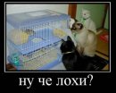 Віталік Мельник фотография #4 (источник - https://vk.com/id55369643)
