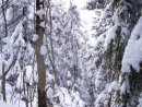 Валерій Матеящук фотография #33 (источник - https://vk.com/id28548420)