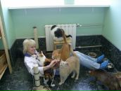 Фотография Глухаревой Анастасии