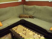 Ігор Капанюк фотография #3 (источник - https://vk.com/id70134363)