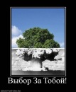 Фотография Сушкова Вани