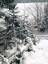 Беата Іштвані фотография #23 (источник - https://vk.com/id169410458)