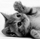 Фотография Кораблёвой Ульяны