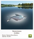 Ігор Мартинов фотография #40 (источник - https://vk.com/id132655644)