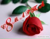 Александр Спиридонов фотография #13 (источник - https://vk.com/id27472653)