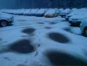 Фотография Соловьева Максима