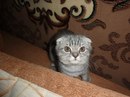 Шевчук Сергій фотография #19 (источник - https://vk.com/id20495548)