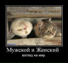 Фотография Федуненко Вероники