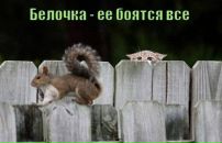 Фотография Макарова Алексея