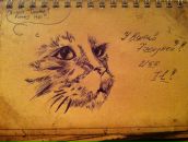 Фотография Макрицкой Татьяны