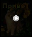 Іра Дяковська фотография #29 (источник - https://vk.com/id137411715)