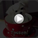 Іра Дяковська фотография #32 (источник - https://vk.com/id137411715)