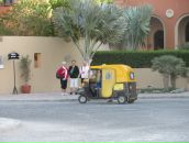 Ірина Лісович фотография #44 (источник - https://vk.com/id19871993)