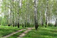 Андрій Стельмах фотография #29 (источник - https://vk.com/id137825577)