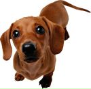 Фотография Абейдуллиной Эльмиры