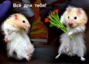 Дарина Іванова фотография #9 (источник - https://vk.com/id139227438)