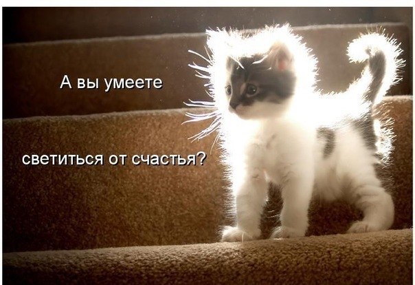№1, Айгуль Полетаева, Уфа №1, Айгуль Полетаева, Уфа