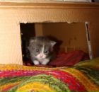 Марічкасмерічка Тарасюк фотография #25 (источник - https://vk.com/id7607663)