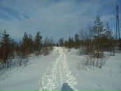 Фотография Тростиной Юлии