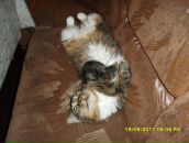 Фотография Калагиной Александры