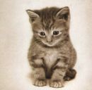 Софійка Гачок фотография #13 (источник - https://vk.com/id139633023)