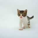 Софійка Гачок фотография #12 (источник - https://vk.com/id139633023)