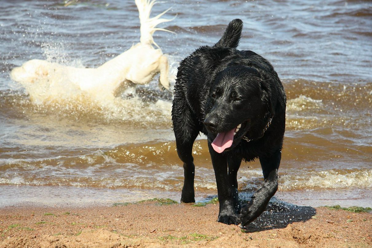 Даниил Сидоров фотография #28