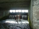 Сюзі Кучерява фотография #7 (источник - https://vk.com/id44276652)