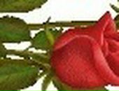 Мария Иванова фотография #29 (источник - https://vk.com/id9245767)