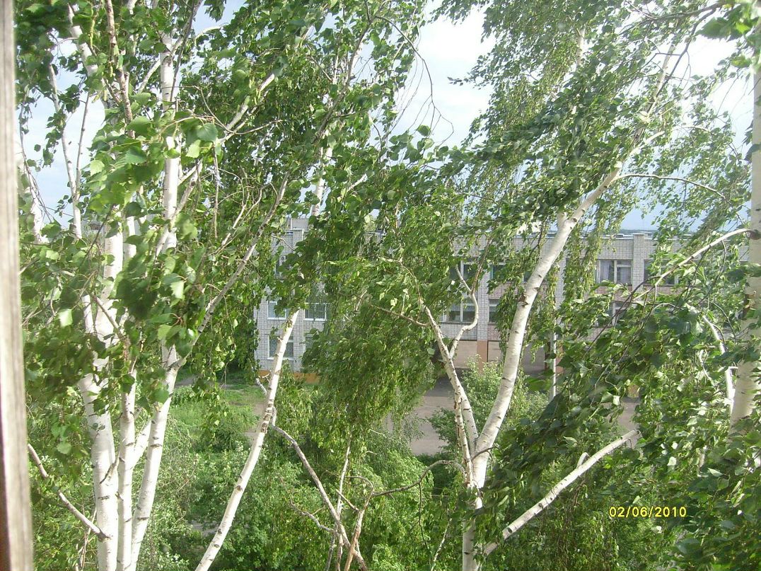 Александр Дедков фотография #35
