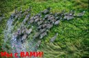 Веронічка Вишневська фотография #1