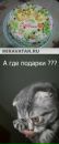 Фотография Женя Шкарова