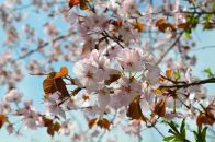 Фотография Мордвинцевой Дарьи