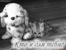Машка Шімон фотография #29 (источник - https://vk.com/id41746374)