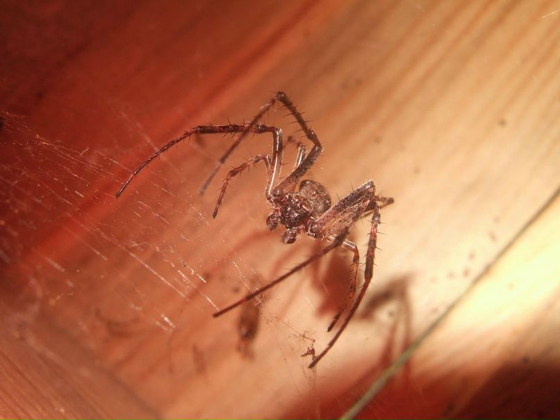 Дмитрий Милеев фотография #21