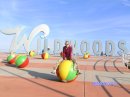 Наталія Головацька фотография #27 (источник - https://vk.com/id18587918)
