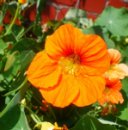 Мария Мисник фотография #21 (источник - https://vk.com/id473354)