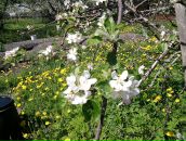 Фотография Москвиной-Шульги Людмилы