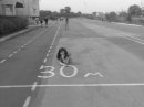 6-А М ЧЕРНІВЦІ фотография #5 (источник - https://vk.com/id60125387)