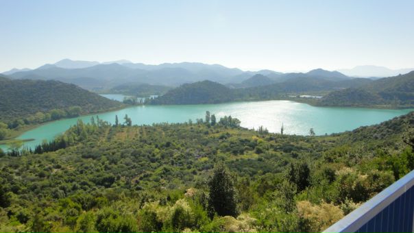 Елена Катич фото №1