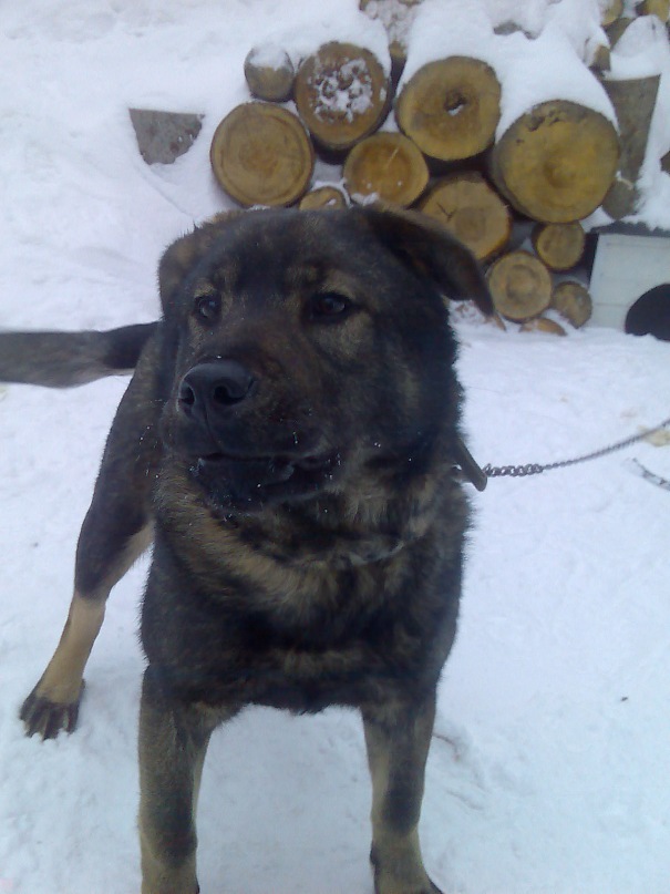 Егор Шалаев фотография #20