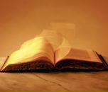 Фотография Парфенкова-Груздёва Дарья