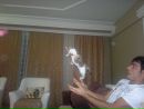 Omar Anna фотография #36 (источник - https://vk.com/id108460893)