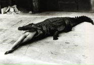 Фотография Вос Ирины